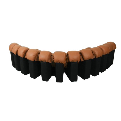 De Sede DS 600 Snake
